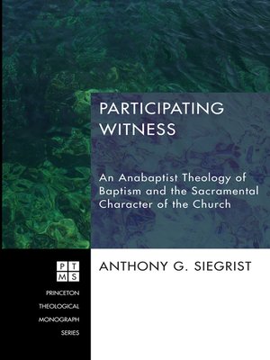 cover image of Participating Witness